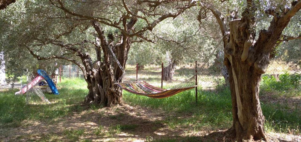 The Small House In The Olive Grove Лефокастро Екстериор снимка