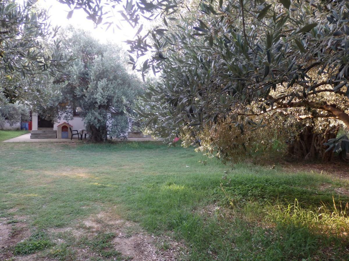 The Small House In The Olive Grove Лефокастро Екстериор снимка