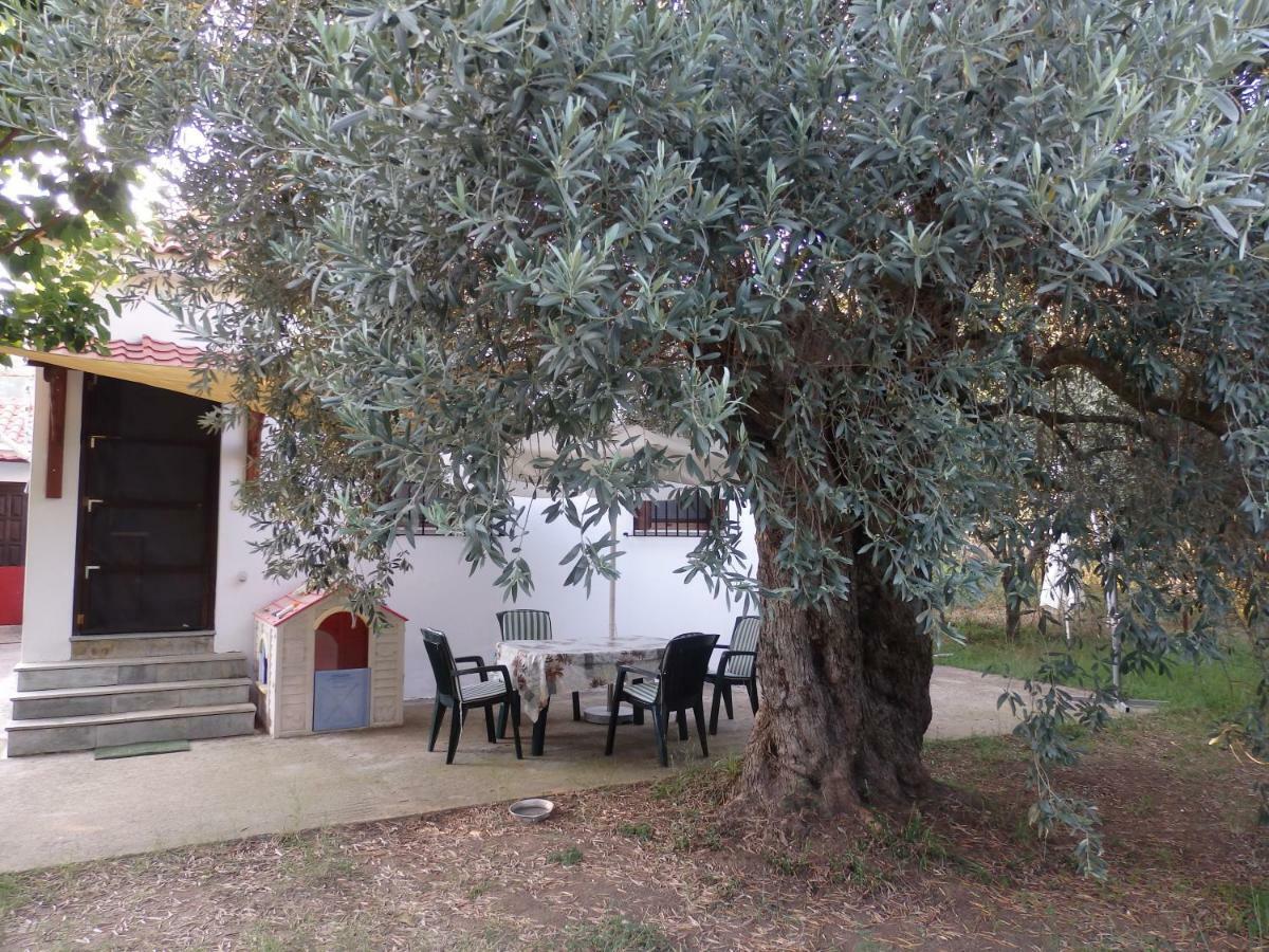 The Small House In The Olive Grove Лефокастро Екстериор снимка