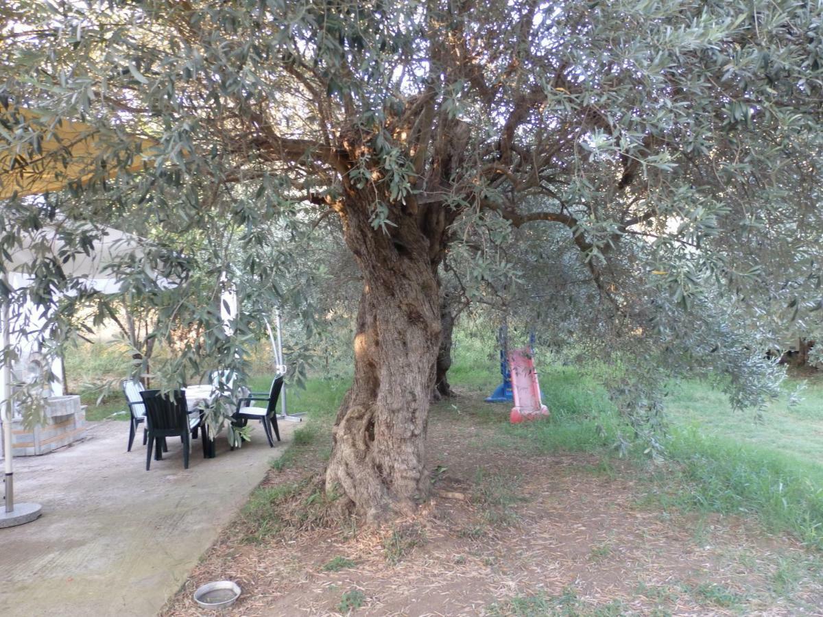 The Small House In The Olive Grove Лефокастро Екстериор снимка